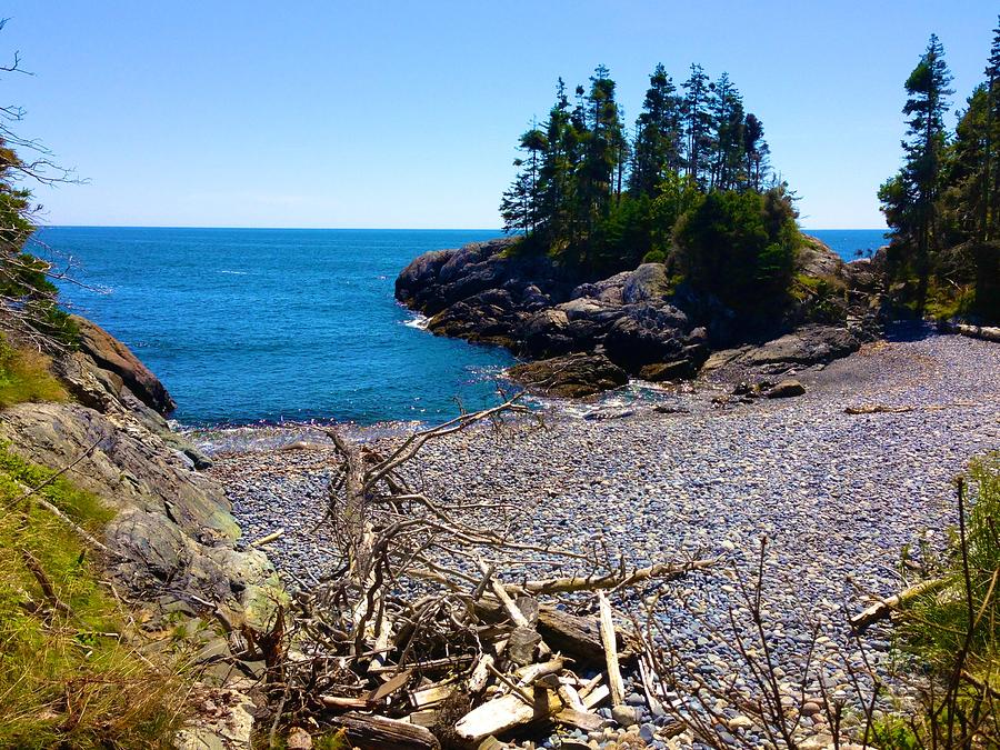 Squeaker Cove on Isle au Haut Photograph by Polly Castor