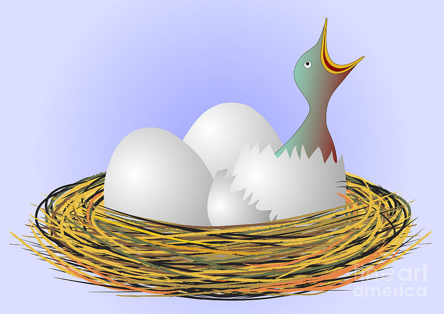Little bird is hatching from eggs Digital Art by Michal Boubin
