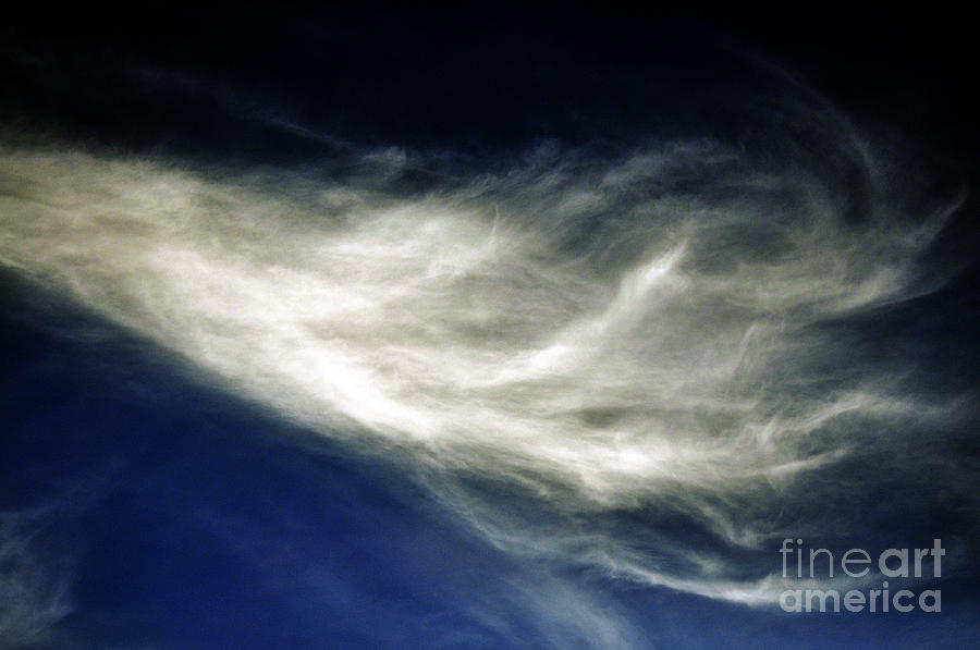 Squid Cloud Photograph by Clayton Bruster