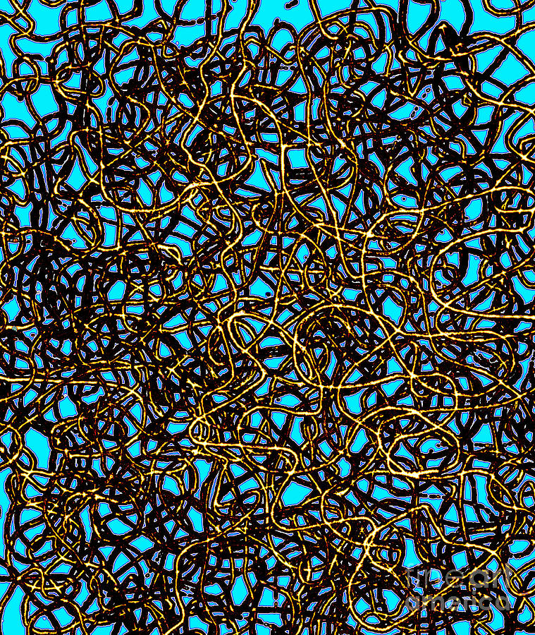 Blue Black Digital Art - Squiggle 6 by Andy  Mercer
