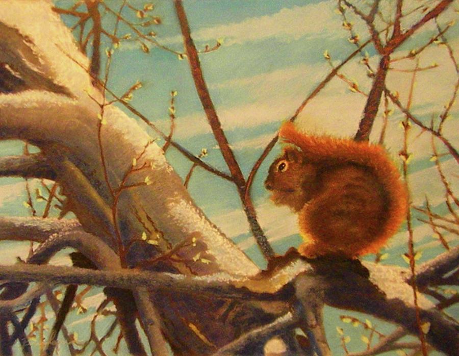 Squirrel Pastel By Brian Brigham - Fine Art America