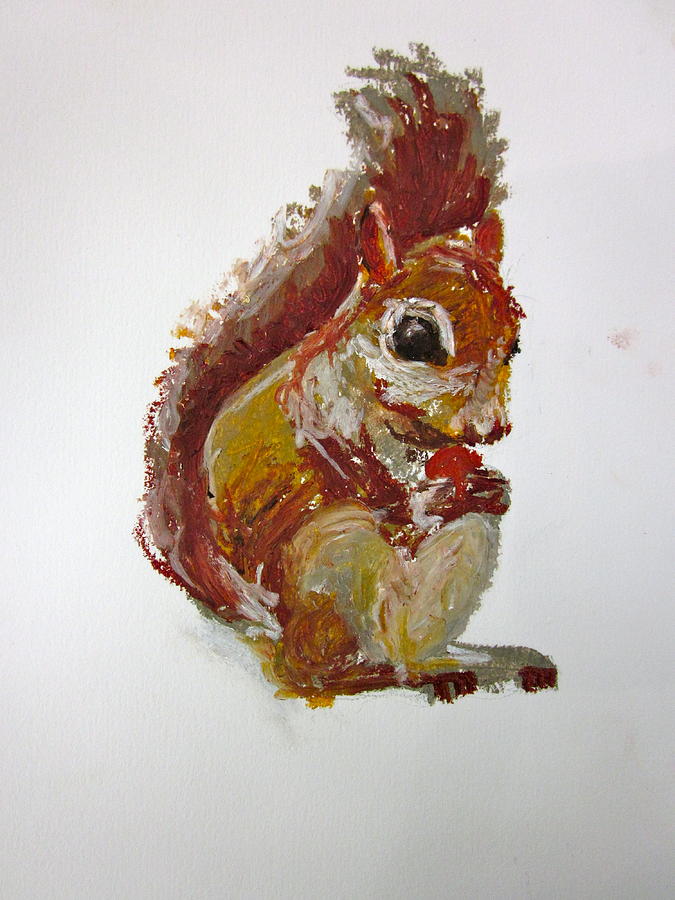 Squirrel Drawing by Britta Loucas - Fine Art America