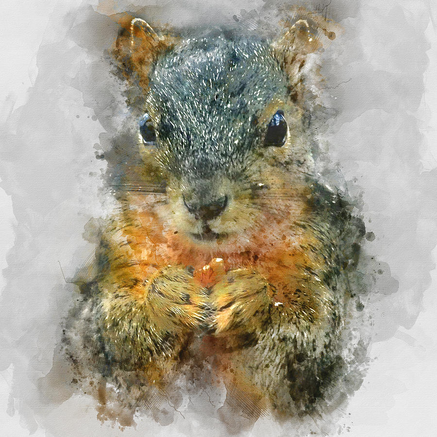 Cool Painting - Squirrel Colorful Portrait 2 - by Diana Van by Diana Van