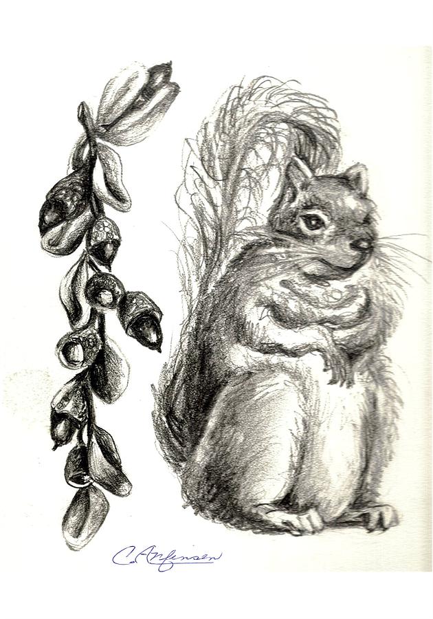 Squirrel Drawing - Squirrel Happy by Carol Allen Anfinsen