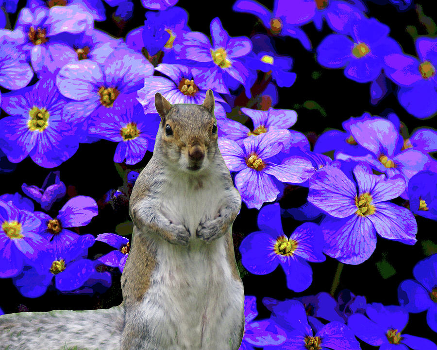 Squirrel in the Garden Photograph by Ben Upham III