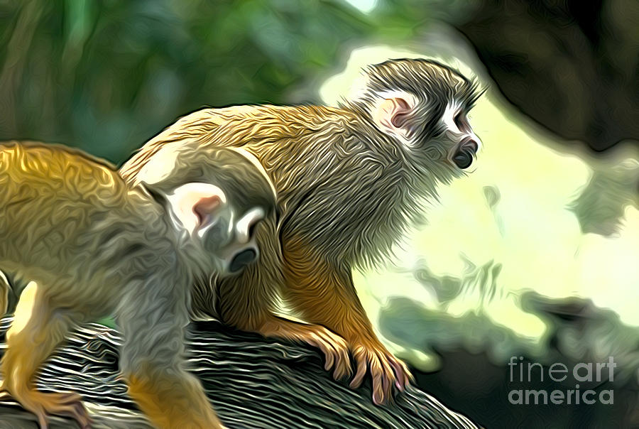 Squirrel monkeys Photograph by Andrew Michael