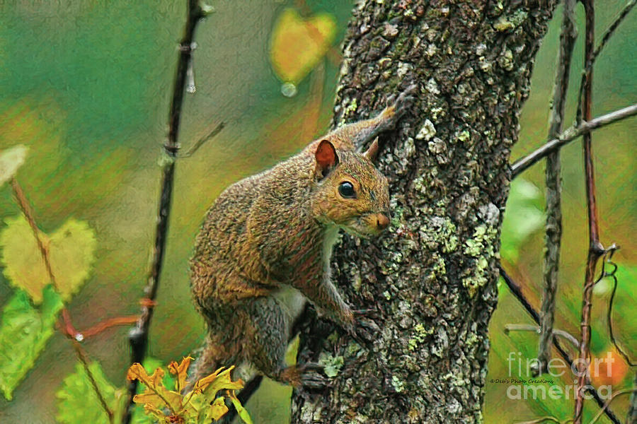 Squirrel Natural Painterly Painting by Deborah Benoit