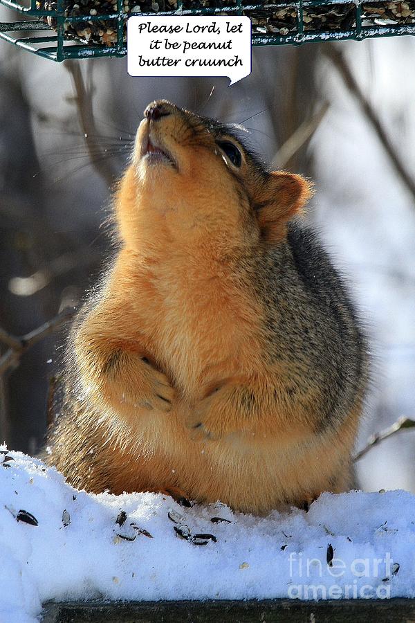 Squirrel Plea Photograph by Rick Rauzi