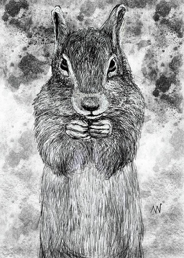 Squirrel Snacking Digital Art by AnneMarie Welsh