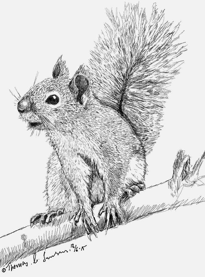 Squirrel  Digital Art by ThomasE Jensen