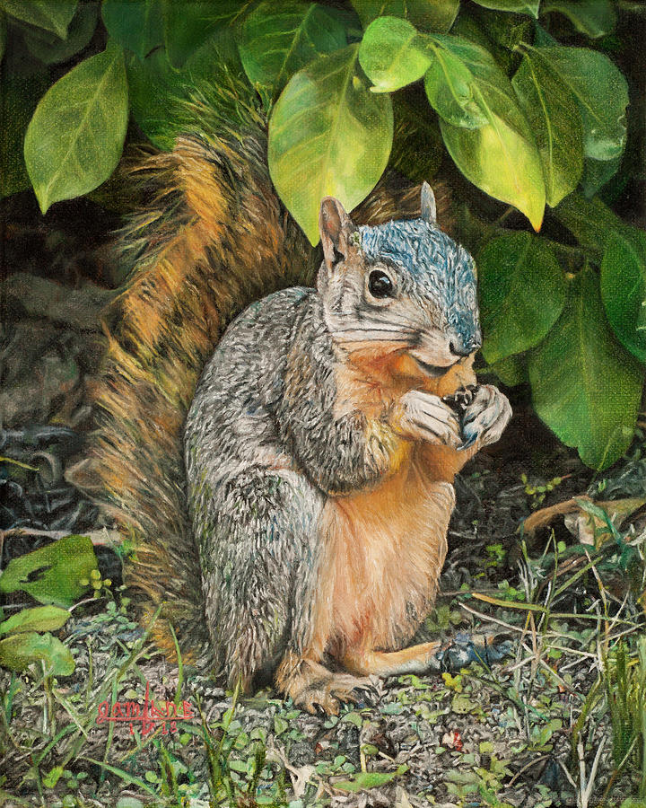 Squirrel Under Bush Painting by Joshua Martin