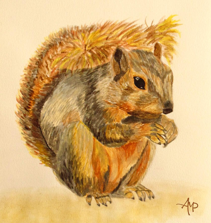 Squirrel Watercolor Painting By Angeles M Pomata - Fine Art America