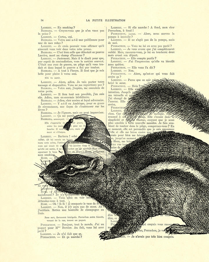Squirrel Digital Art - Squirrel with hat by Madame Memento