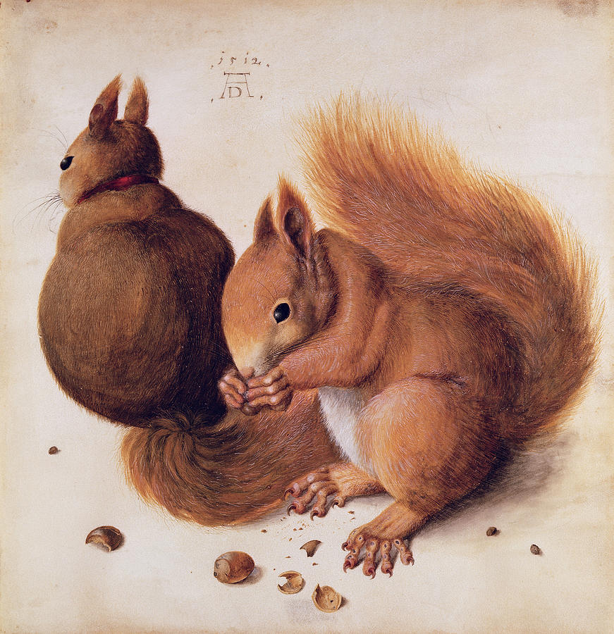 Squirrels Painting by Albrecht Durer