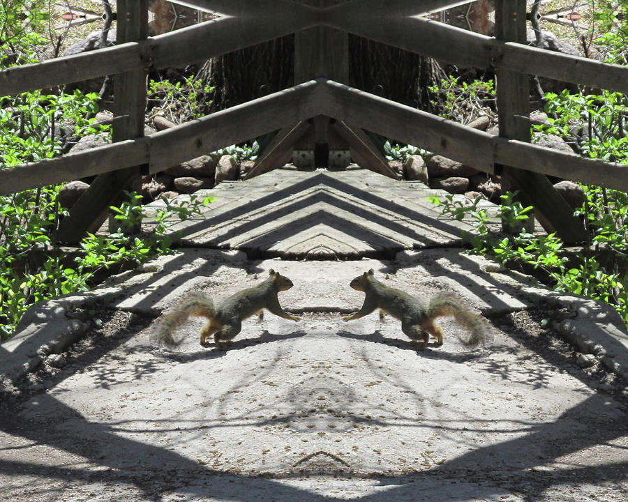 Squirrels Dancing on a Bridge Digital Art by Julia L Wright