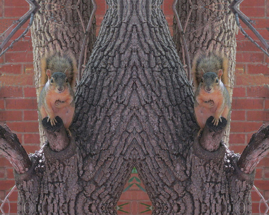 Squirrels in a Tree with Hands on Their Hearts Digital Art by Julia L Wright