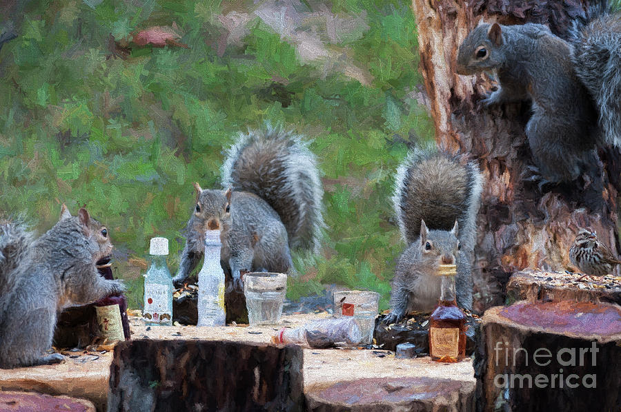 Squirrels relaxing at the sunflower seed convention Photograph by Dan Friend