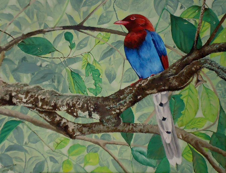 Wildlife Painting - Sri Lanka Blue Magpie by Dhammika Bandara