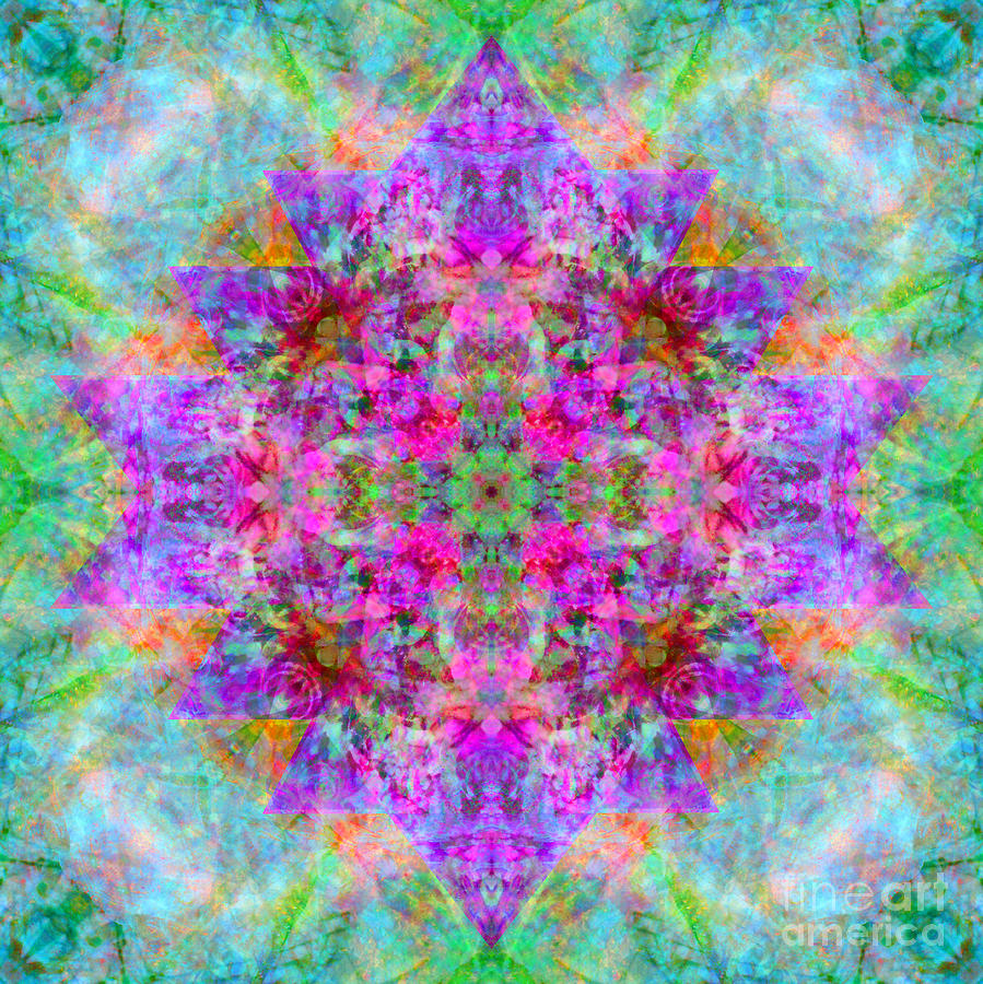 Sri Yantra Flower Mandala Digital Art by Susan Bloom - Fine Art America