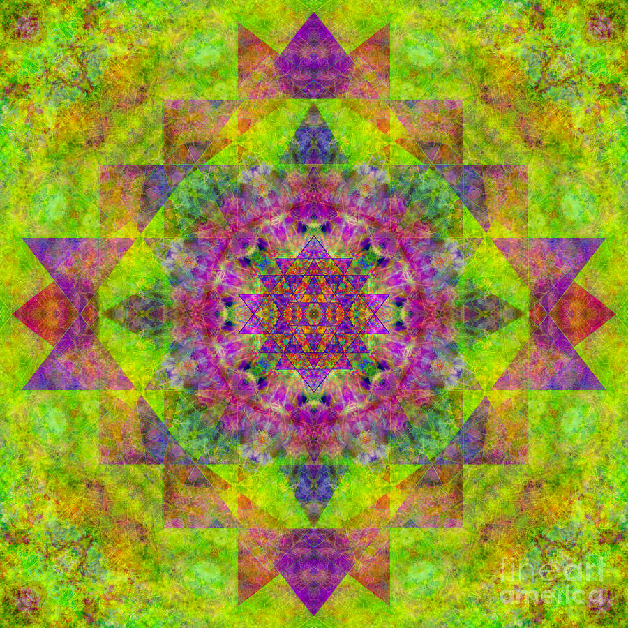 Sri Yantra Om Digital Art by Susan Bloom - Fine Art America