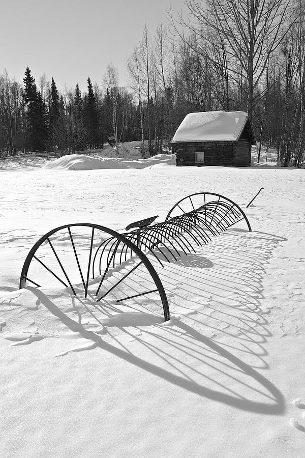 Black And White Photograph - Srings Shadow by Ed Boudreau