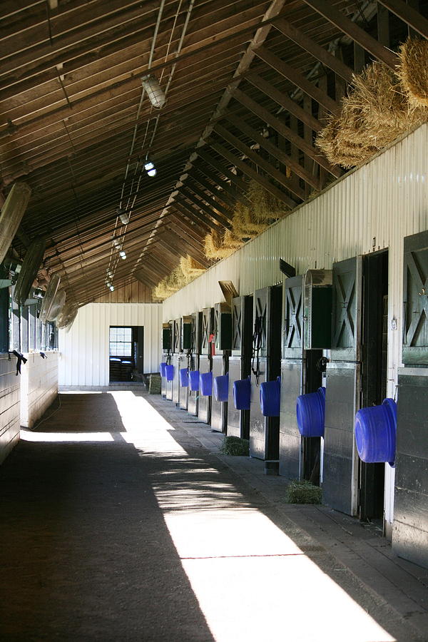 Cool Photograph - Stable Ready by Cathy Harper
