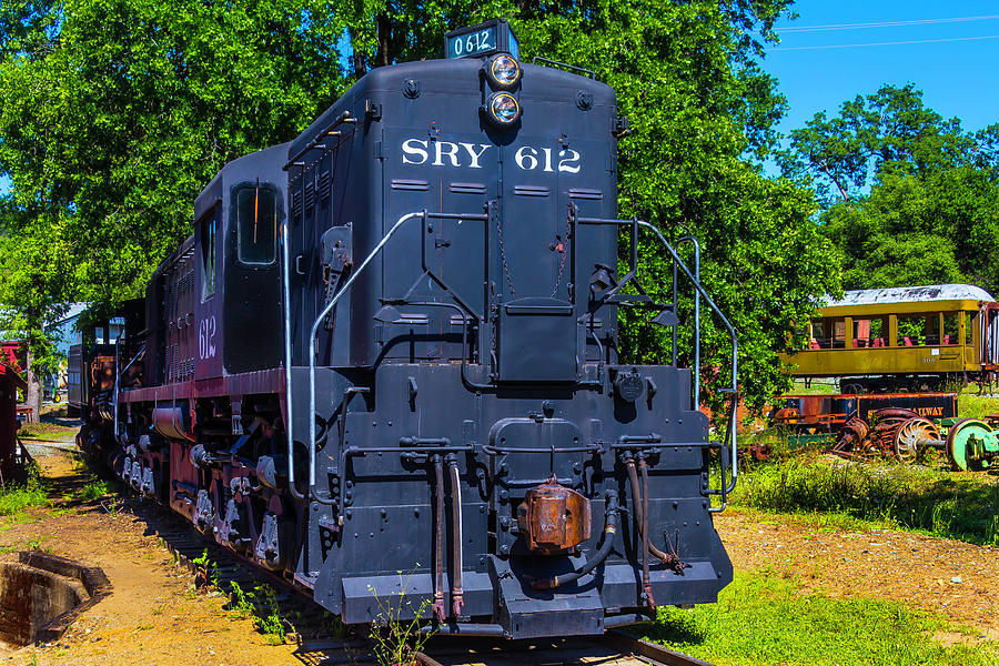 SRY 612 Dessel Train Photograph by Garry Gay