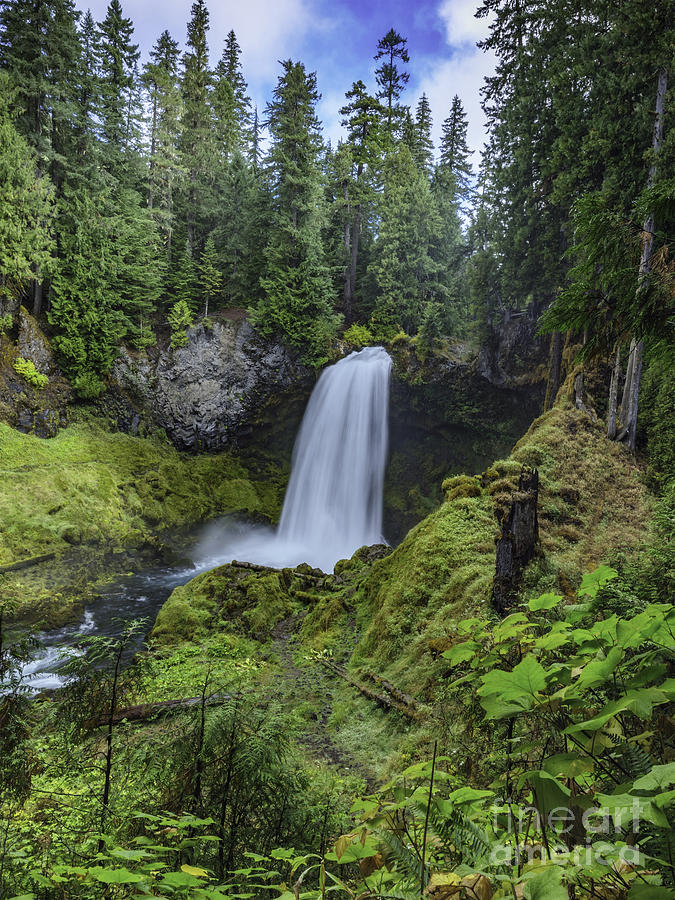 Sahalie Falls,oregon Photograph by Nancy Marie Ricketts