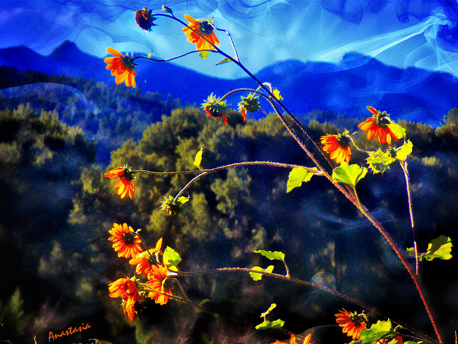 Sunflowers and Blue Mountains From My Green House of Prayer El Valle Mixed Media by Anastasia Savage Ealy