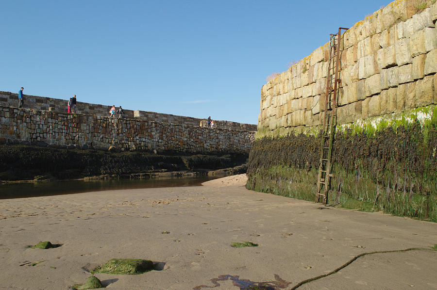 St Andrews Pier at Low Tide Photograph by Adrian Wale