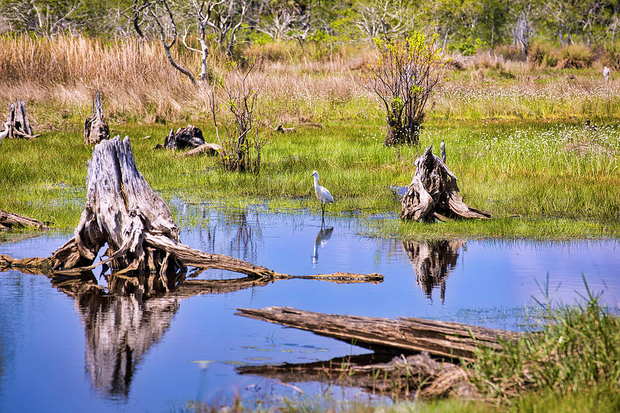 St. Andrews State Park Photograph by Lorraine Baum