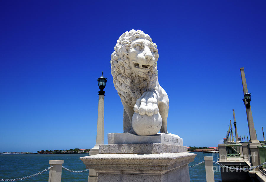 St. Augustine Bridge of Lions Statue Photograph by Felix Lai