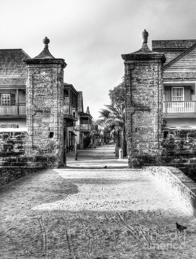 Black & White Photograph - St Augustine City Gates Black n White by C W Hooper