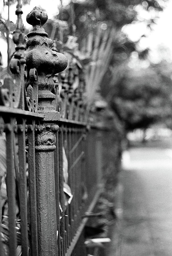 St. Charles Ave Wrought Iron Fence Photograph by KG Thienemann