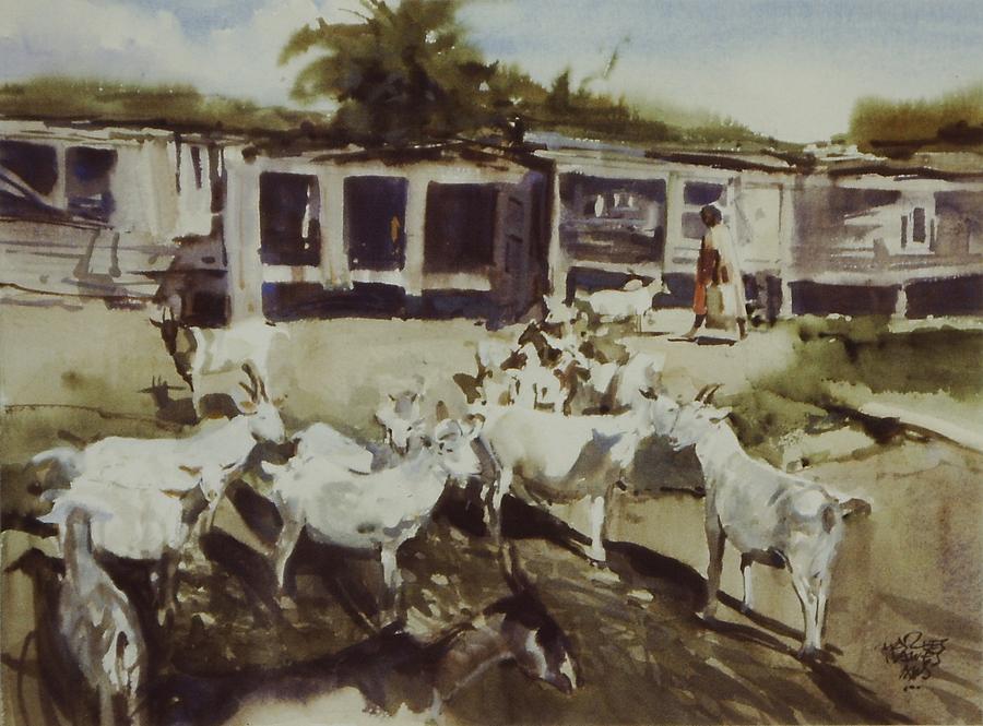 Goat Painting - St. Croix Goats by Charles Hawes