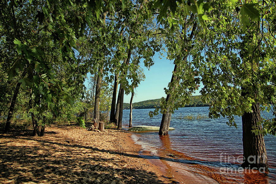 Tree Photograph - St Croix River Shoreline by Jimmy Ostgard