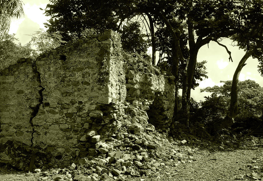 St. Croix Ruins Photograph by Susan Lafleur