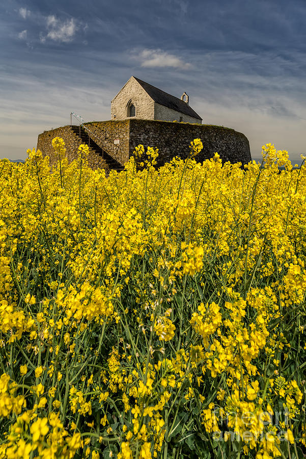 Flower Photograph - St Cwyfans Church by Adrian Evans