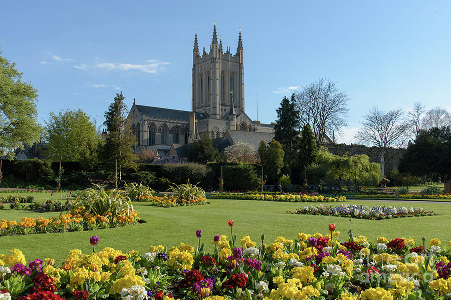 Architecture Photograph - St Edmundsbury Cathedral with flowers in foreground by Mark Roper