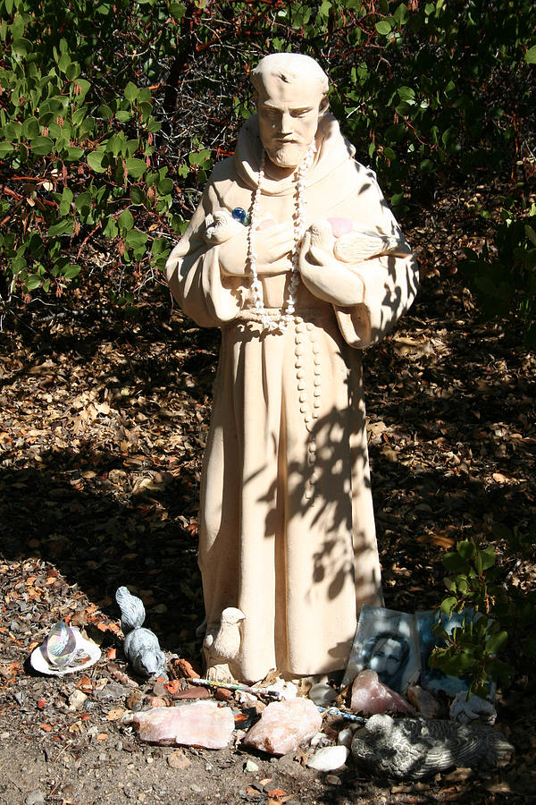 St. Francis at Shasta Photograph by Holly Ethan