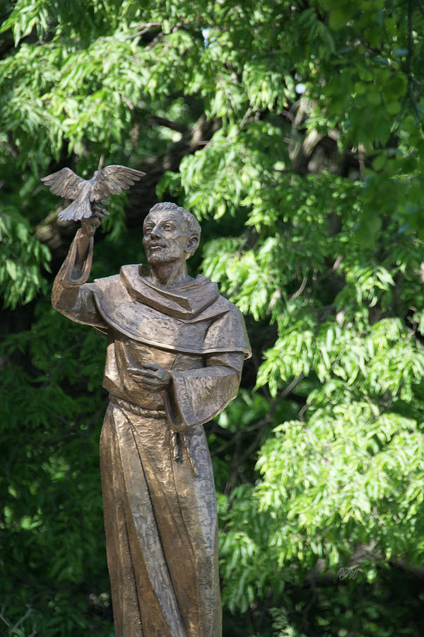 St Francis of Assisi Photograph by Pamela Williams
