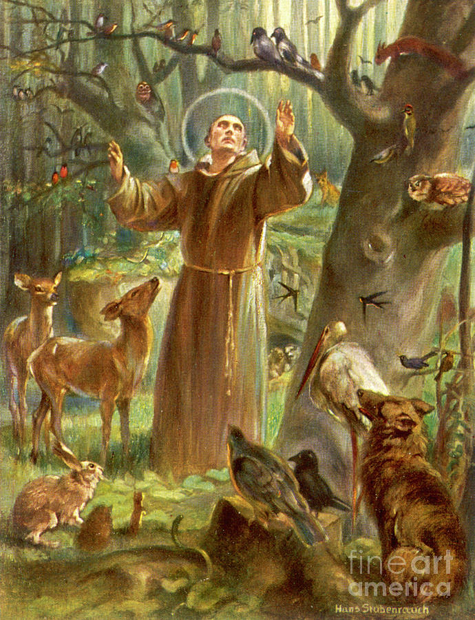 saint francis with animal s