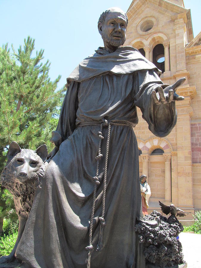 St. Francis Of Assissi Photograph By Brandy Stark