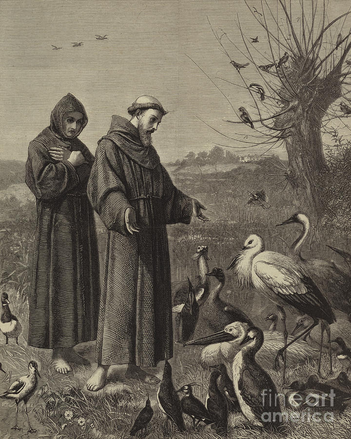 Bird Drawing - St Francis preaches to the Birds  by Henry Stacey Marks
