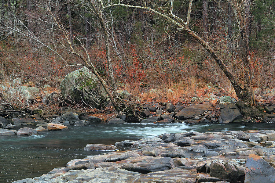 St Francis River At Millstream Gardens 1 Photograph By Greg Matchick 