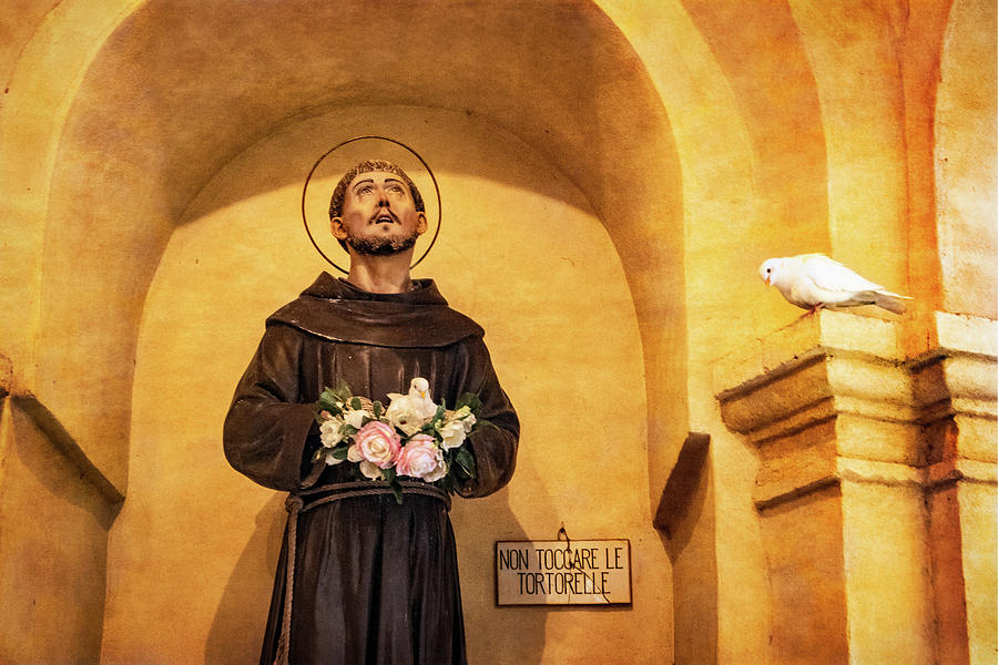 St. Francis Statue and Live Doves Photograph by Carolyn Derstine