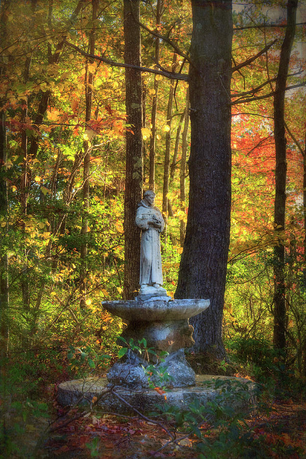 St. Francis Statue - Marlborough, NH Photograph by Joann Vitali