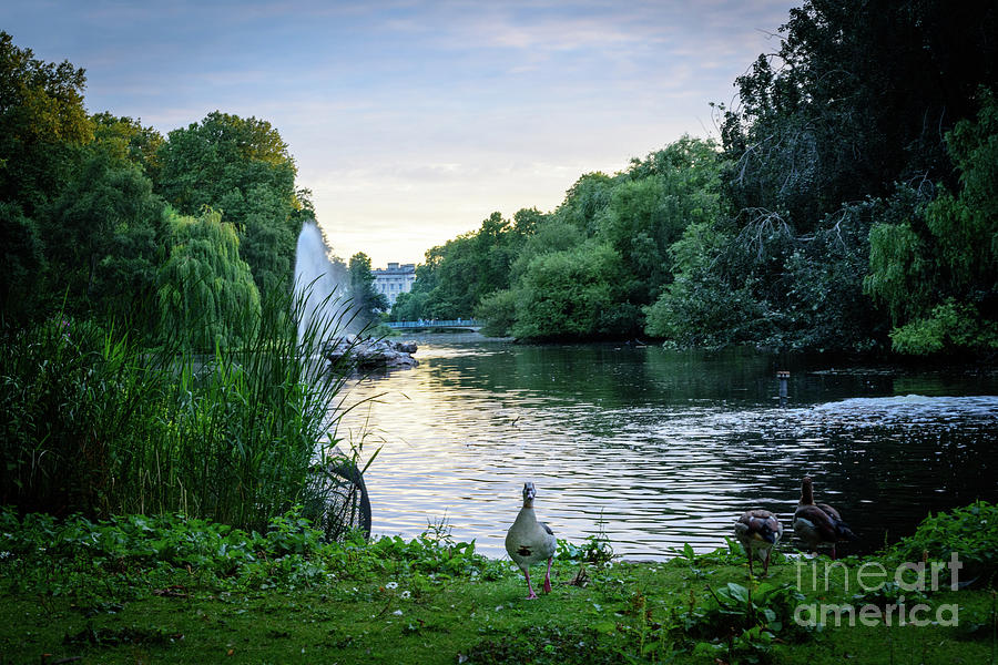 St. James Park Lake Photograph By George Muthalaly - Pixels