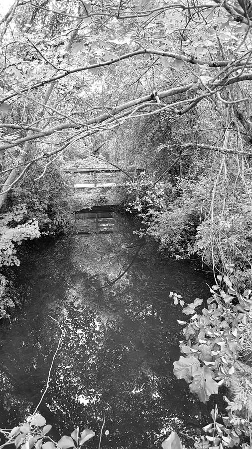 St James Water Bw Photograph
