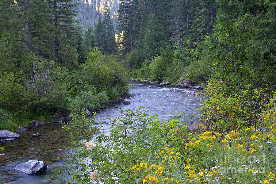 St. Joe North Fork Photograph by Idaho Scenic Images Linda Lantzy